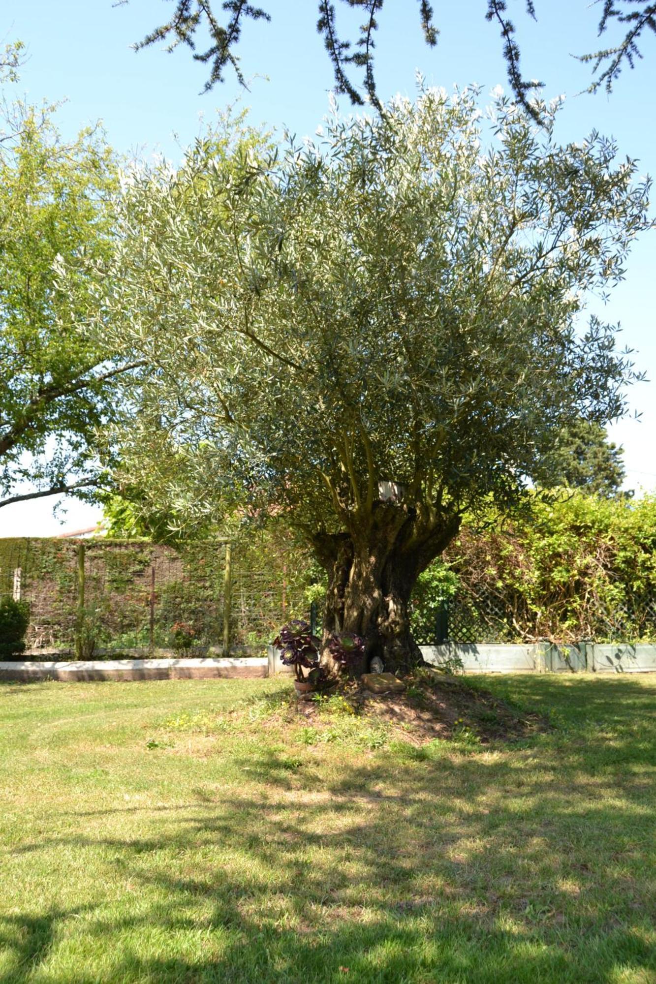 Le Gite De La Lombriere Saint-Denis-de-Pile ภายนอก รูปภาพ